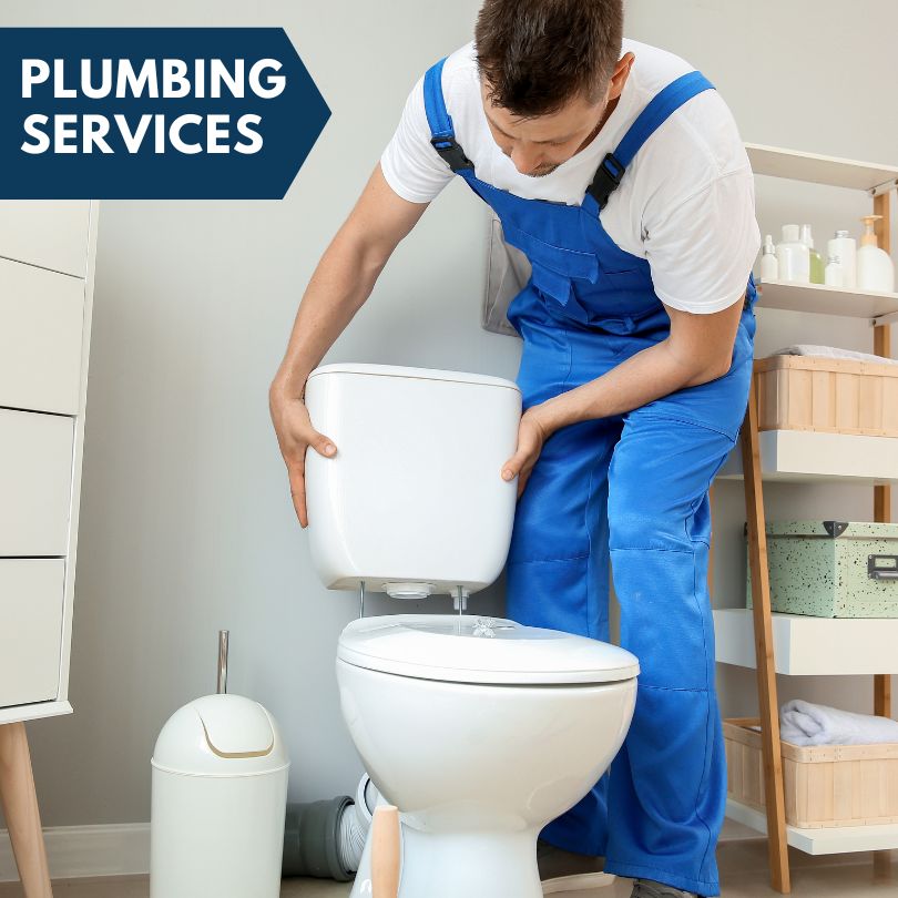 Plumbing Company in Piasa, IL